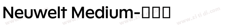 Neuwelt Medium字体转换